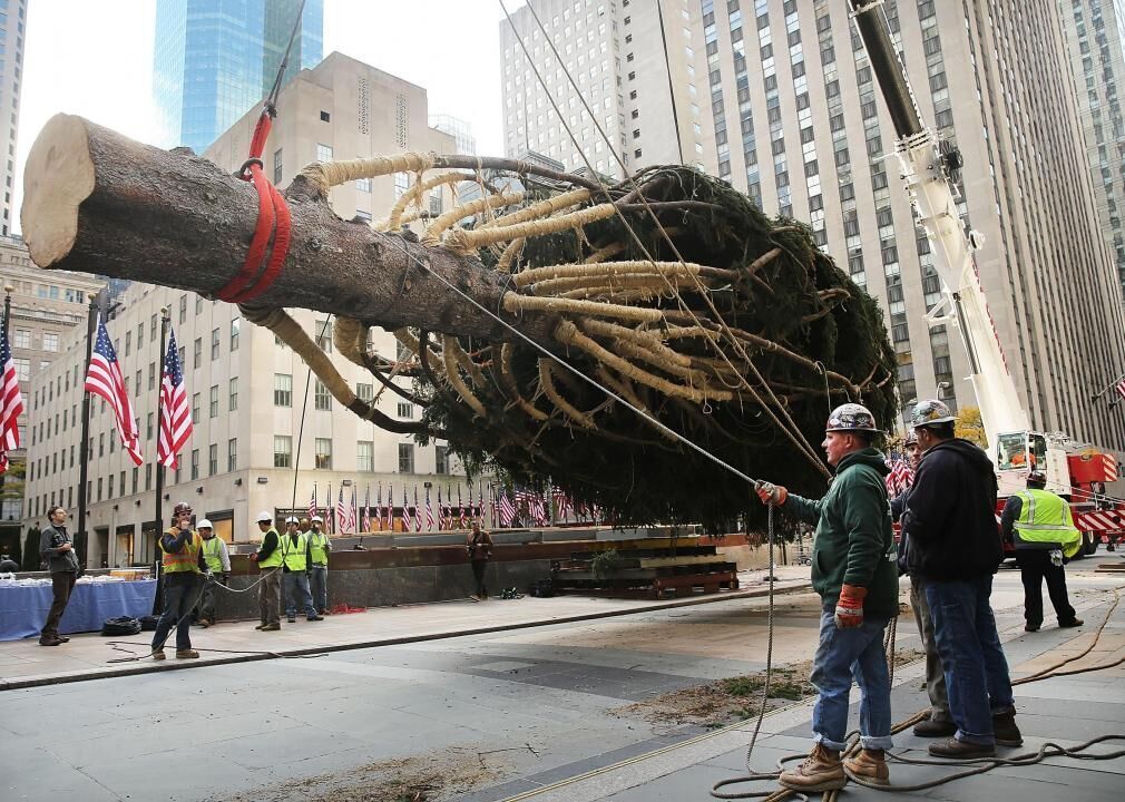 2007: The Rockefeller tree becomes a home for the needy